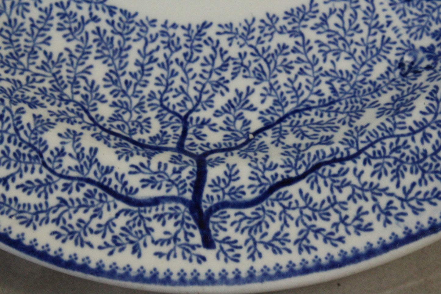 Wood & Sons Blue & White Oval Plate - Kernow Furniture