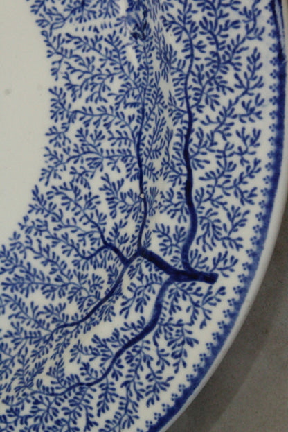 Wood & Sons Blue & White Oval Plate - Kernow Furniture