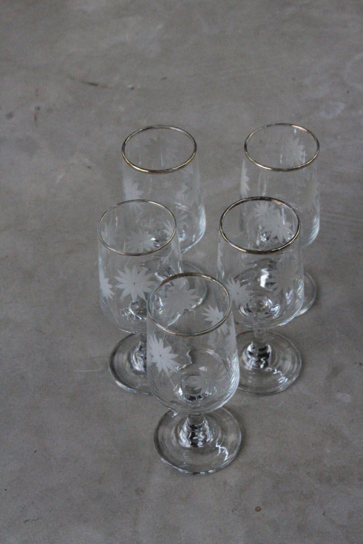 5 Etched Licqueur Glasses - Kernow Furniture