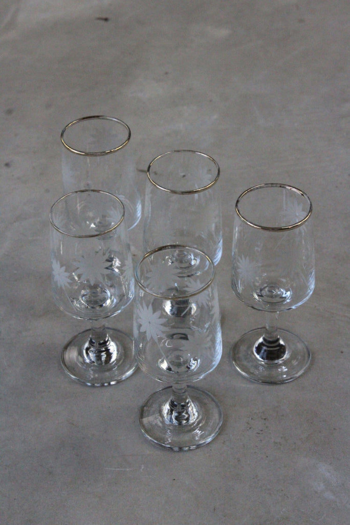 5 Etched Licqueur Glasses - Kernow Furniture