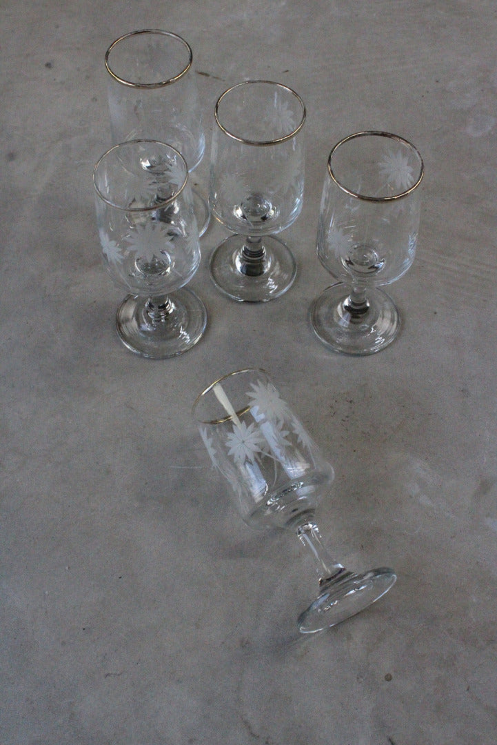 5 Etched Licqueur Glasses - Kernow Furniture