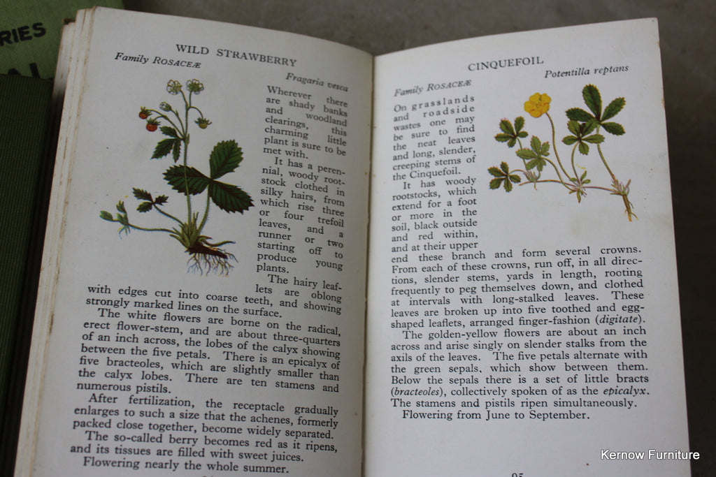 Collection of Vintage Nature Books - Kernow Furniture