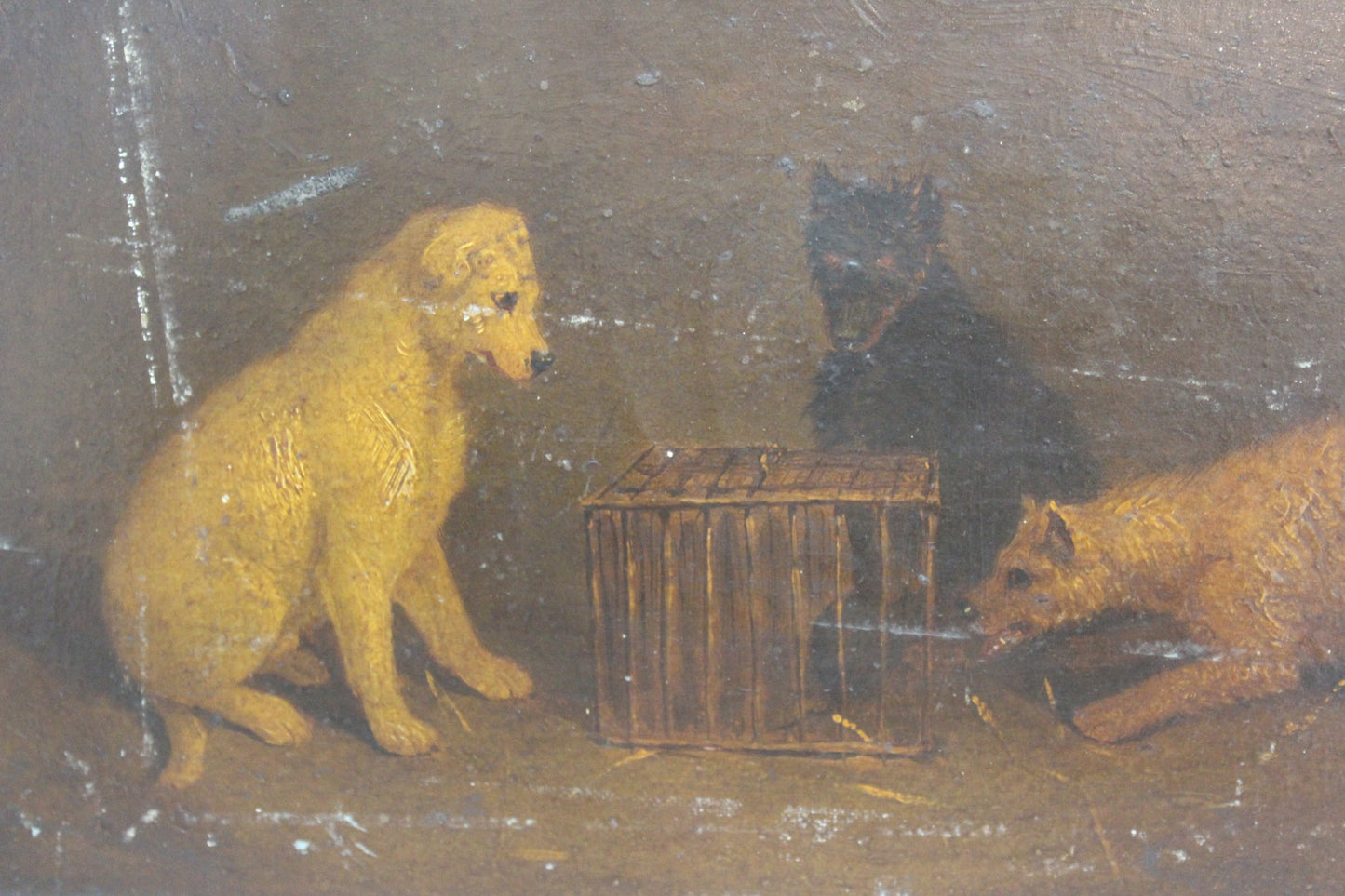 Rat & Terriers Oil On Board - Kernow Furniture