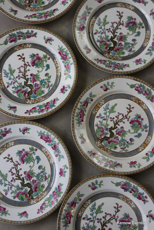 6 Wedgwood Indian Tree Dinner Plate - Kernow Furniture