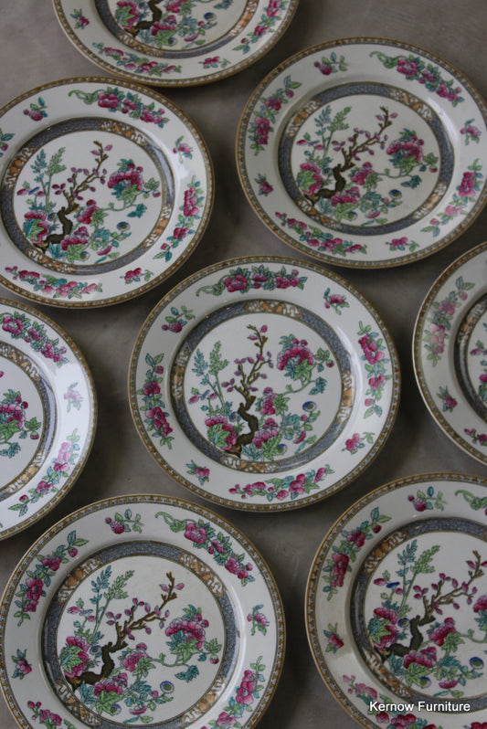 9 Wedgwood Indian Tree Breakfast Plate - Kernow Furniture