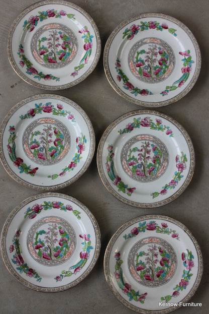 6 Balmoral China Tea Plate Indian Tree - Kernow Furniture