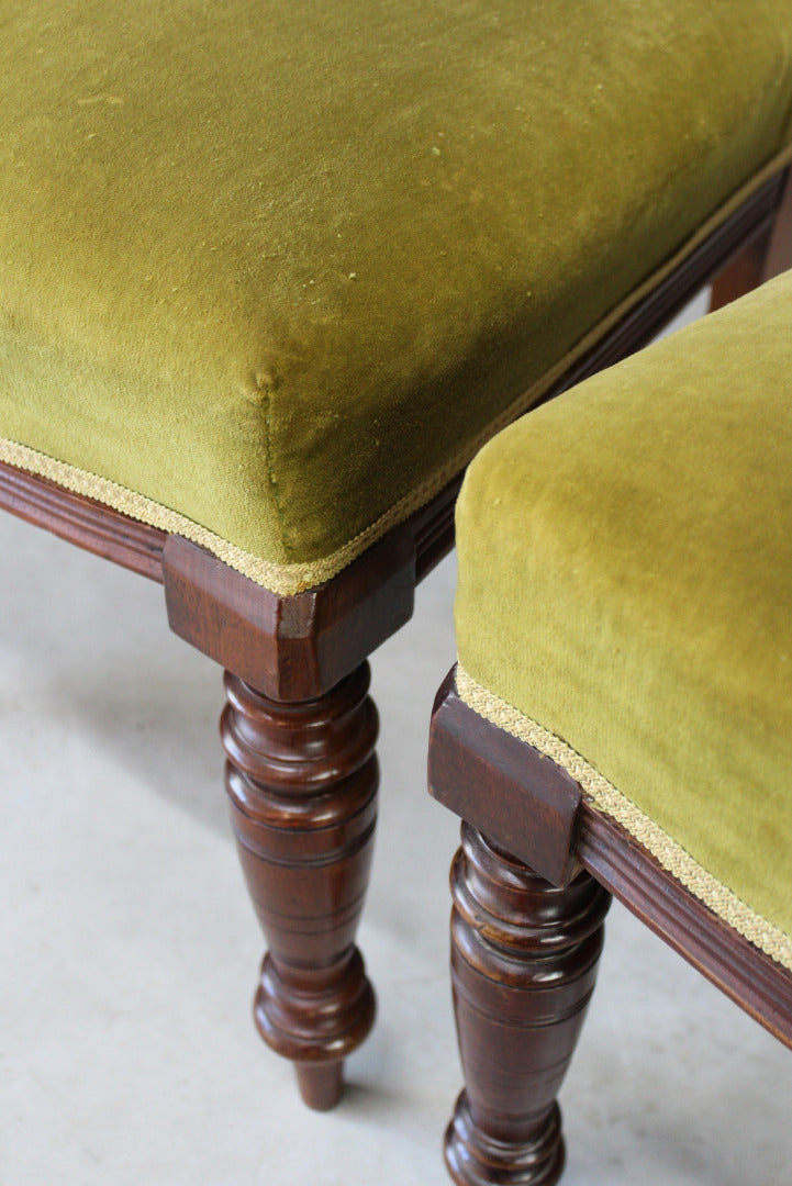 Pair Victorian Walnut Dining Chairs - Kernow Furniture