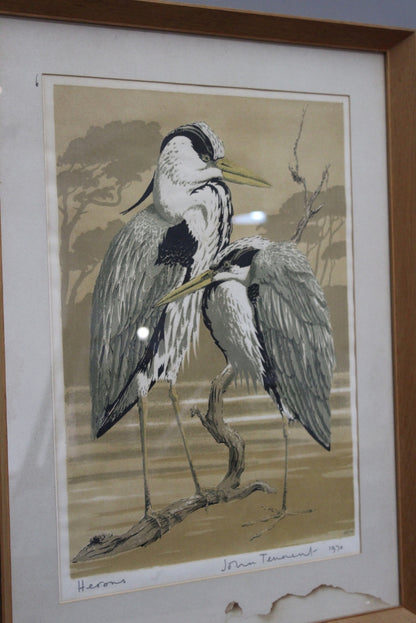 John Tennant Herons Print 1970 - Kernow Furniture