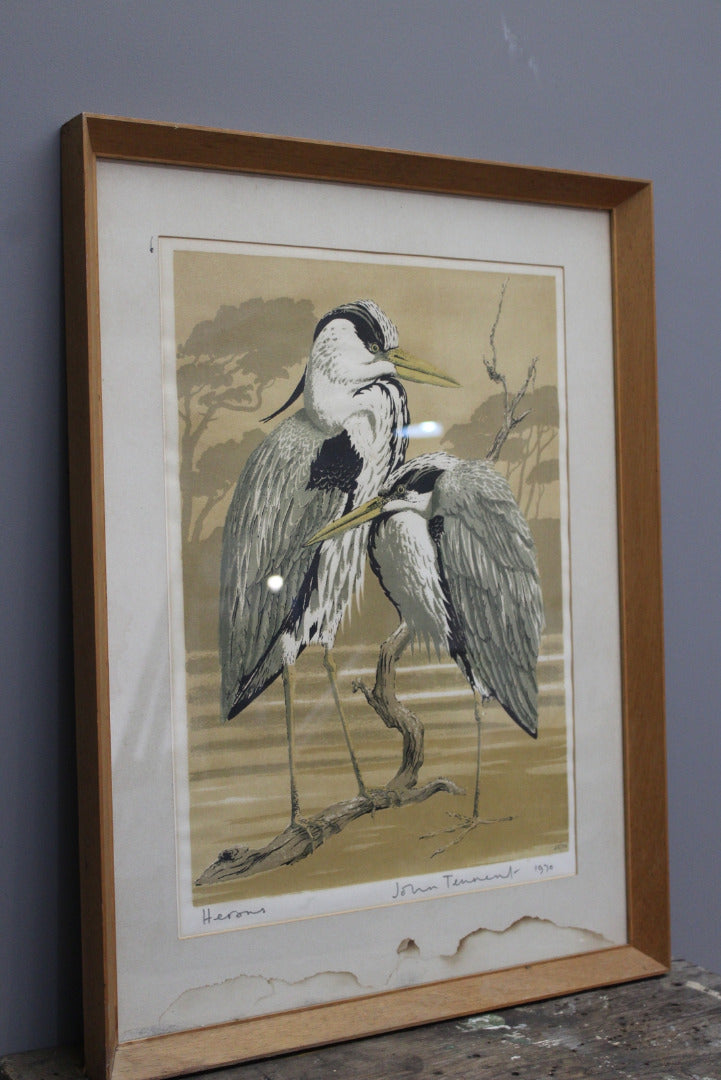 John Tennant Herons Print 1970 - Kernow Furniture