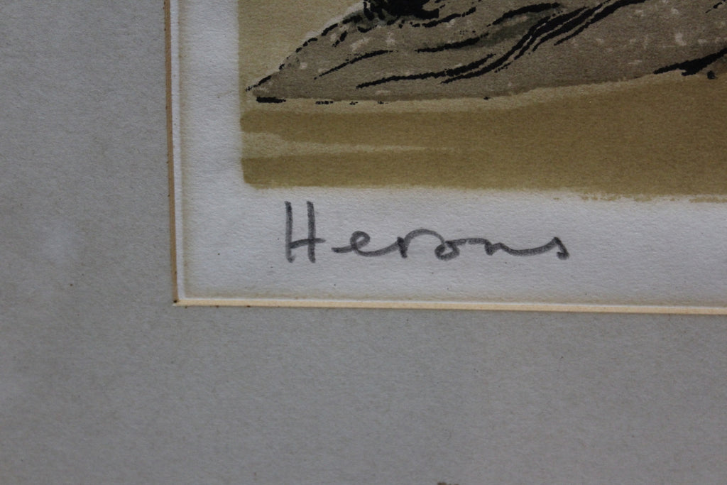John Tennant Herons Print 1970 - Kernow Furniture