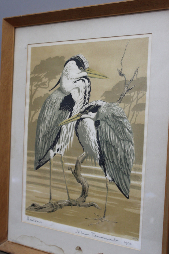 John Tennant Herons Print 1970 - Kernow Furniture