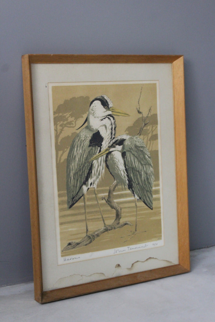 John Tennant Herons Print 1970 - Kernow Furniture