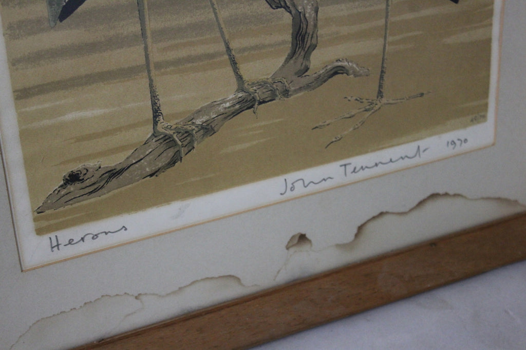 John Tennant Herons Print 1970 - Kernow Furniture