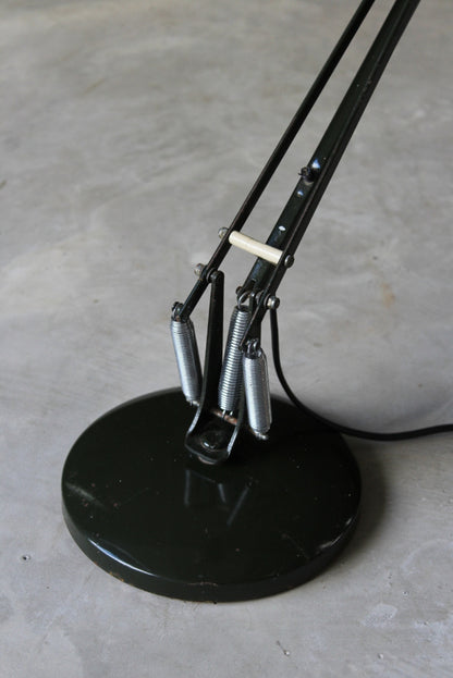 Green Anglepoise Lamp - Kernow Furniture