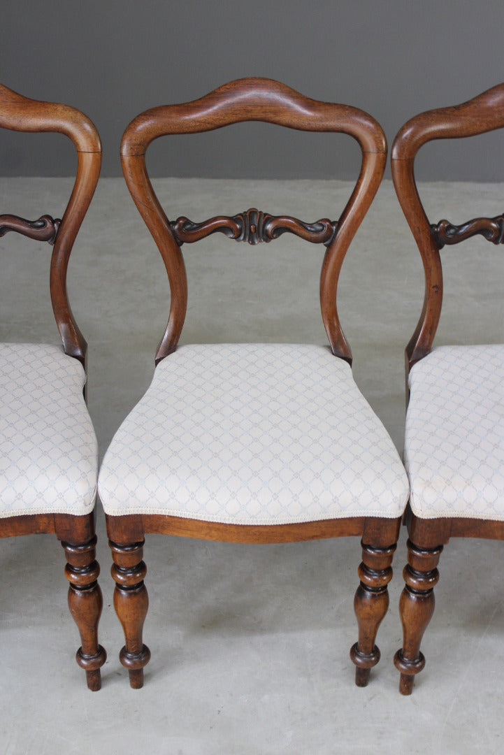 Set 6 Antique Rosewood Dining Chairs - Kernow Furniture