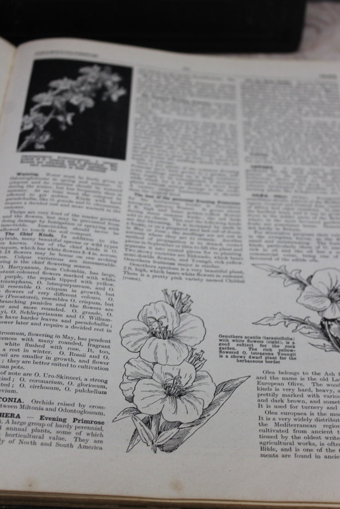 The Popular Encyclopedia of Gardening - Kernow Furniture