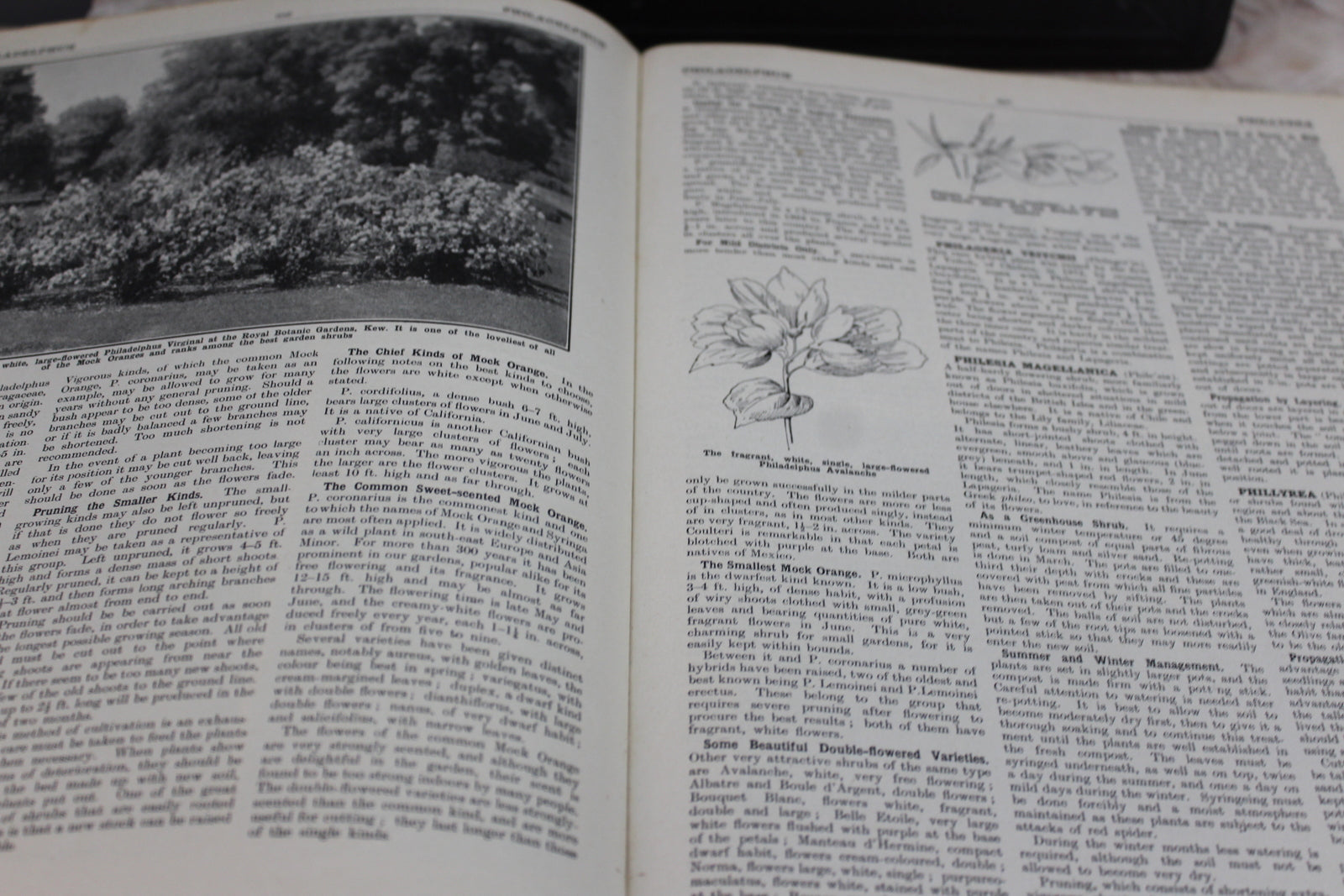 The Popular Encyclopedia of Gardening - Kernow Furniture