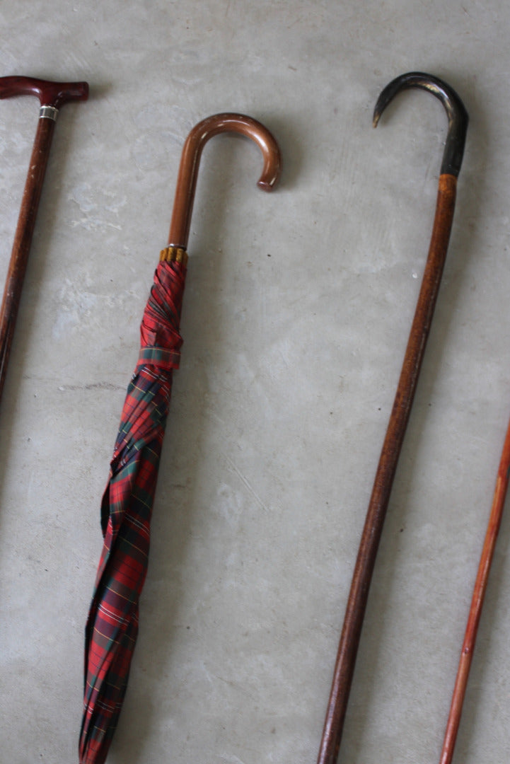 Vintage Walking Sticks & Umbrella - Kernow Furniture