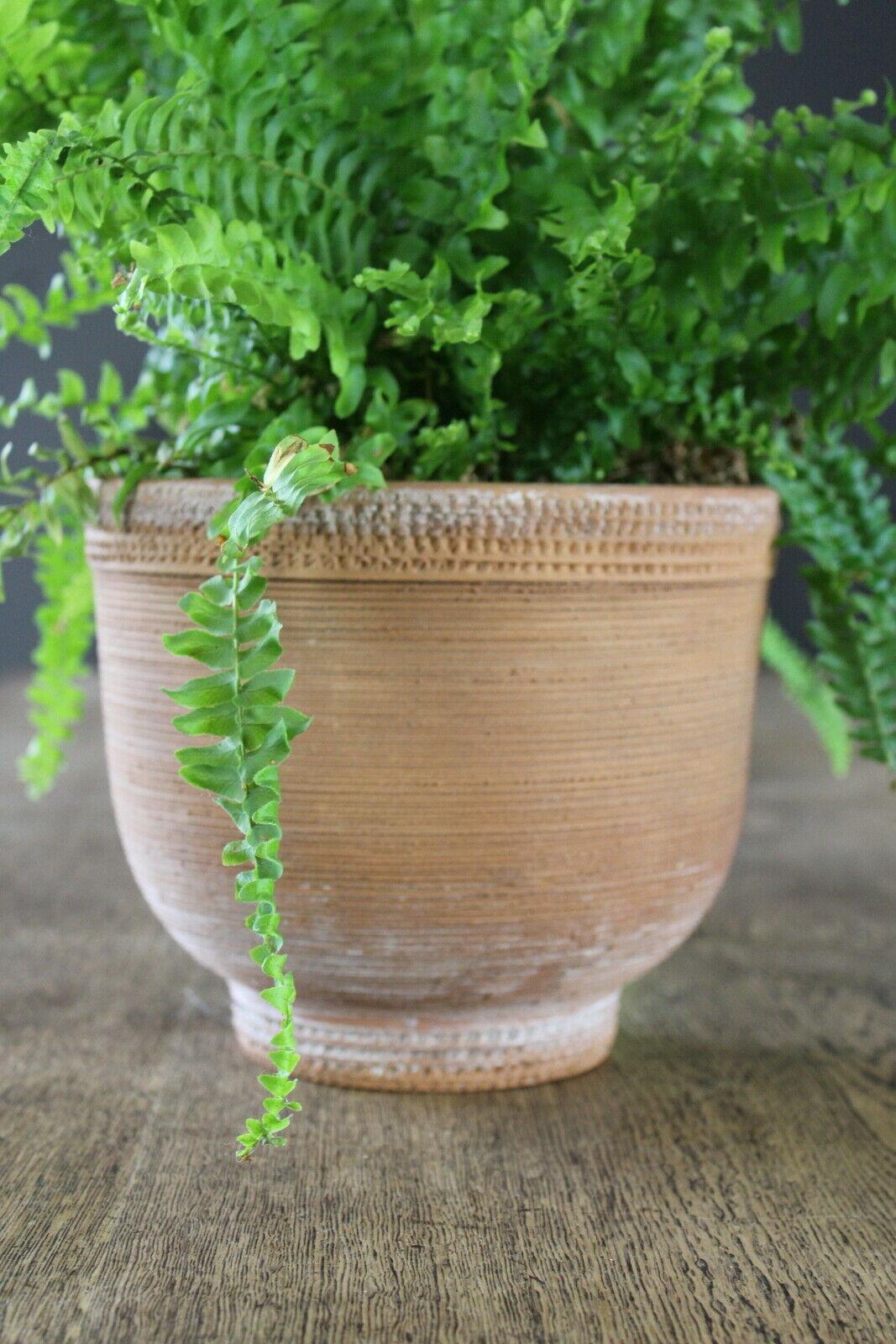 Earthenware Planter Plant Pot Made In Italy - Kernow Furniture