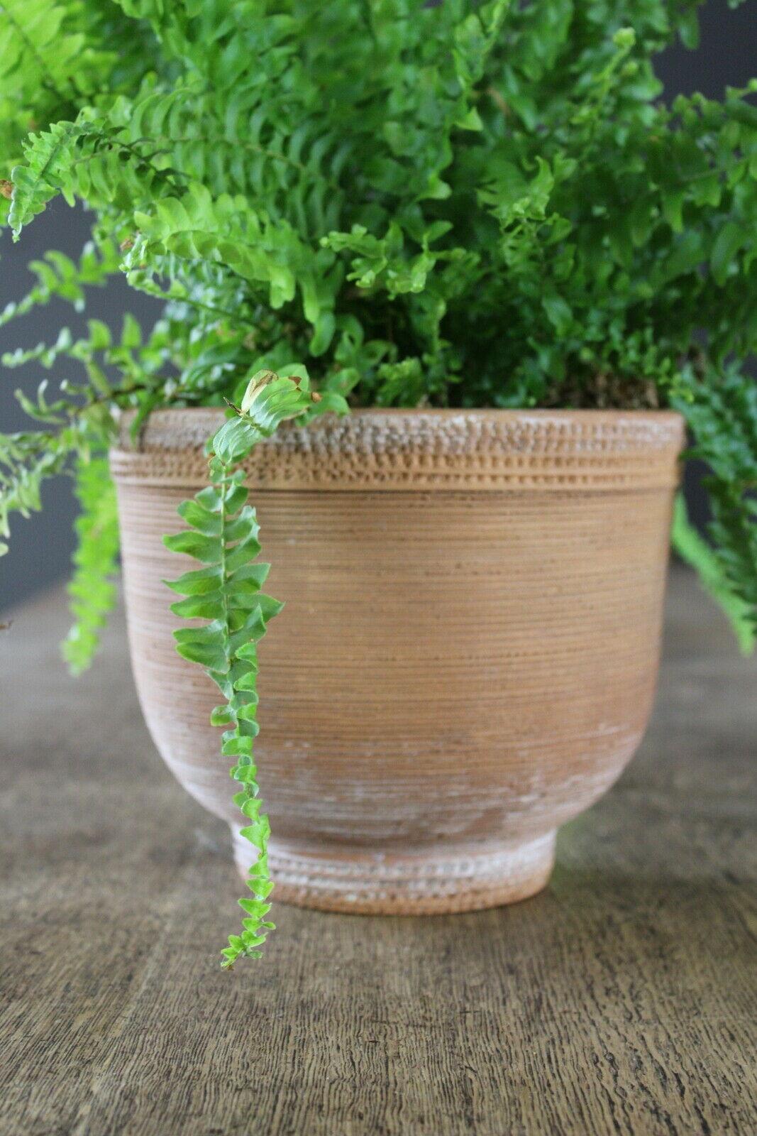 Earthenware Planter Plant Pot Made In Italy - Kernow Furniture