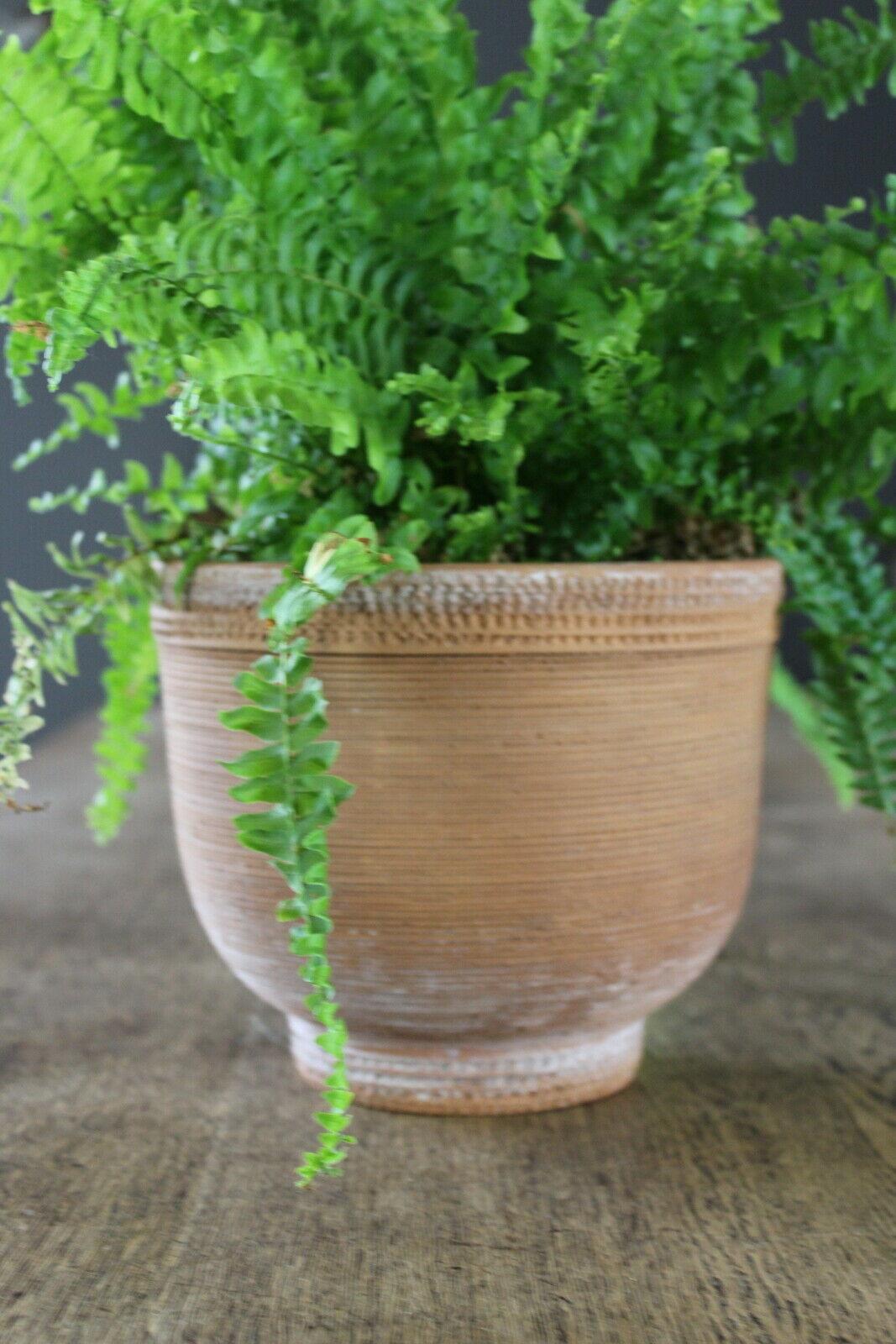 Earthenware Planter Plant Pot Made In Italy - Kernow Furniture