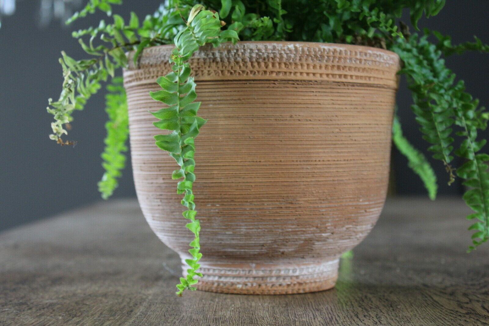 Earthenware Planter Plant Pot Made In Italy - Kernow Furniture