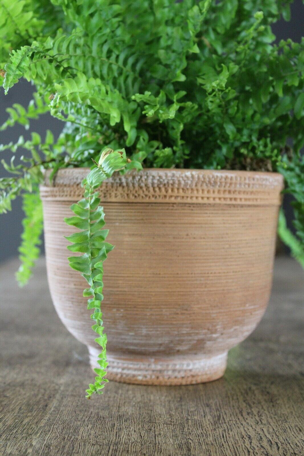 Earthenware Planter Plant Pot Made In Italy - Kernow Furniture
