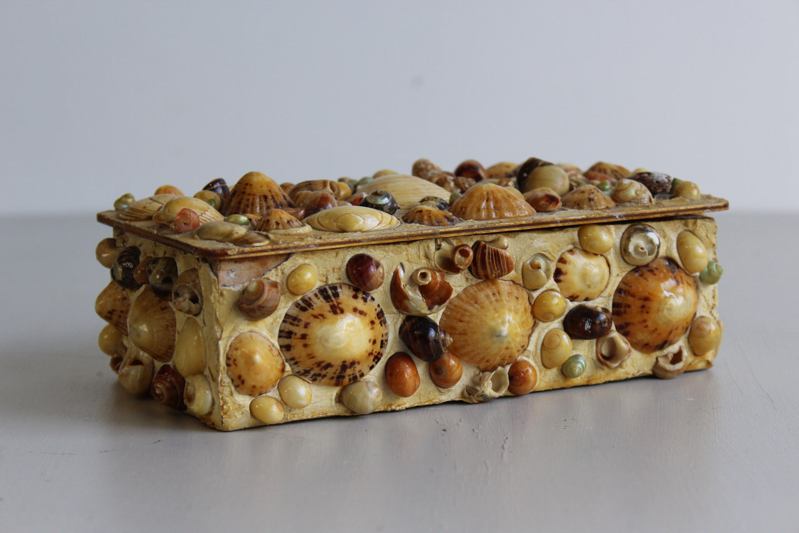 Vintage Shell Trinket Box - Kernow Furniture