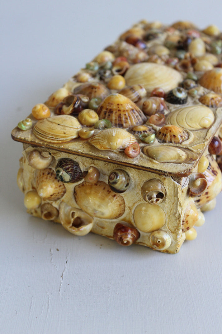 Shell Trinkets Vintage Shell Trinket Box – Kernow Furniture
