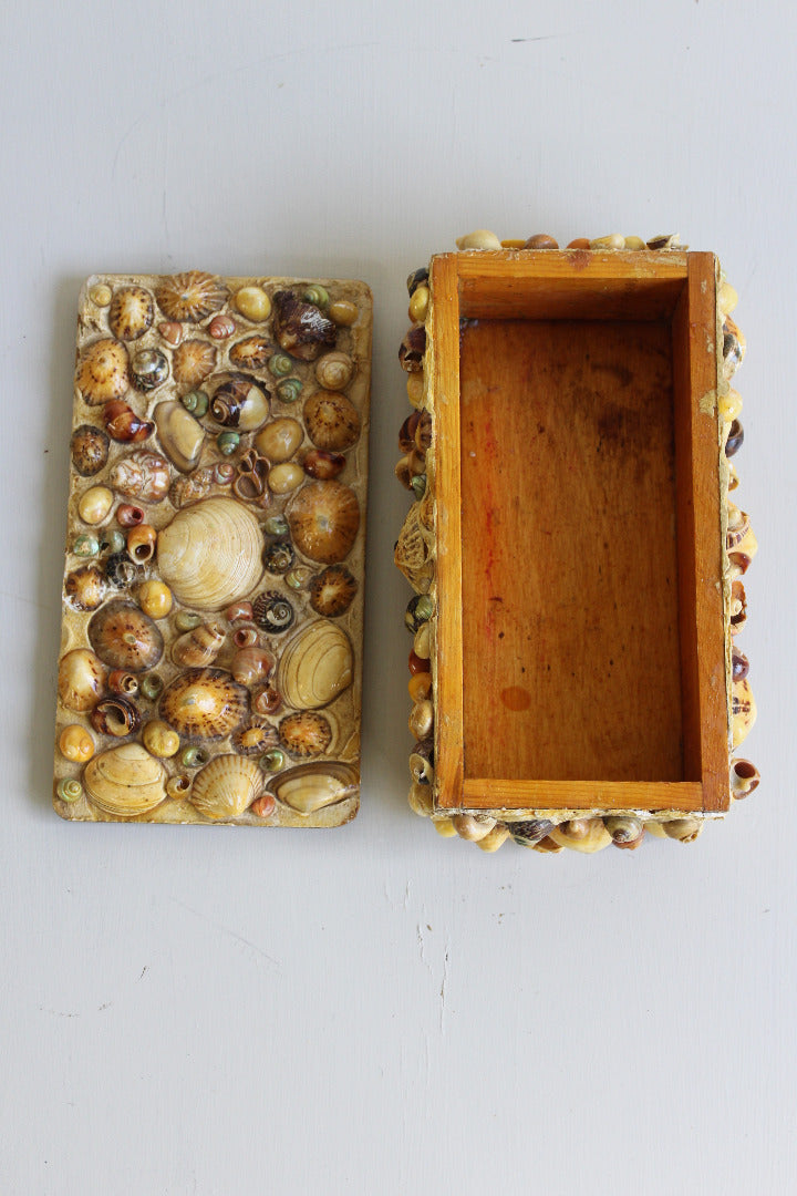 Vintage Shell Trinket Box - Kernow Furniture