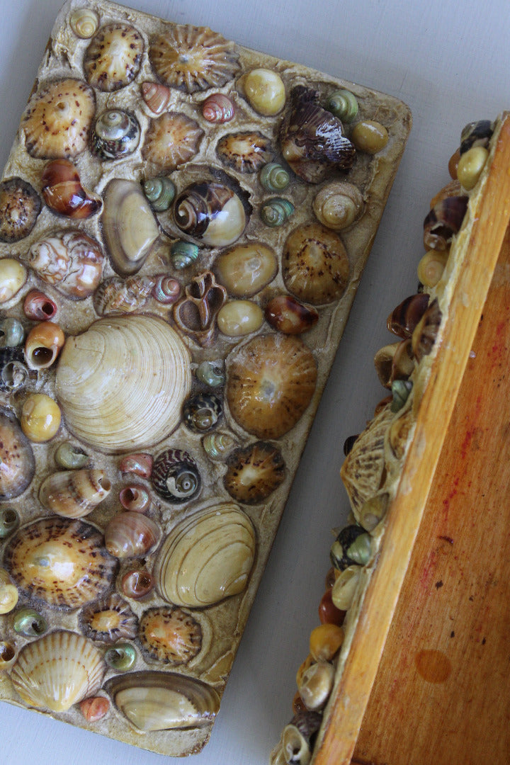Shell Trinkets Vintage Shell Trinket Box – Kernow Furniture