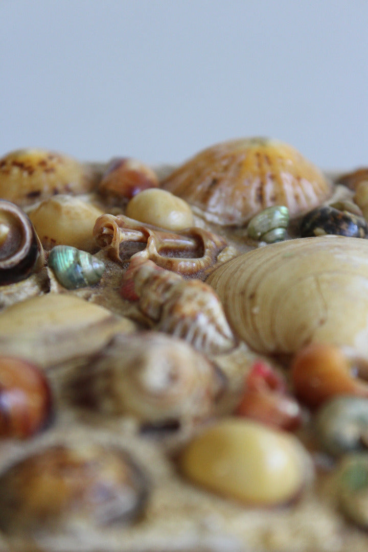 Shell Trinkets Vintage Shell Trinket Box – Kernow Furniture