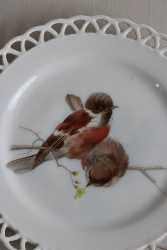 German Porcelain 'Ribbon' Plate - Kernow Furniture