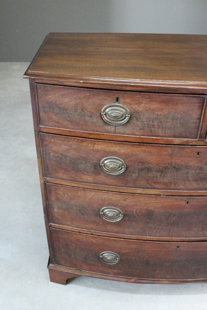 Antique Mahogany Bow Front Chest - Kernow Furniture