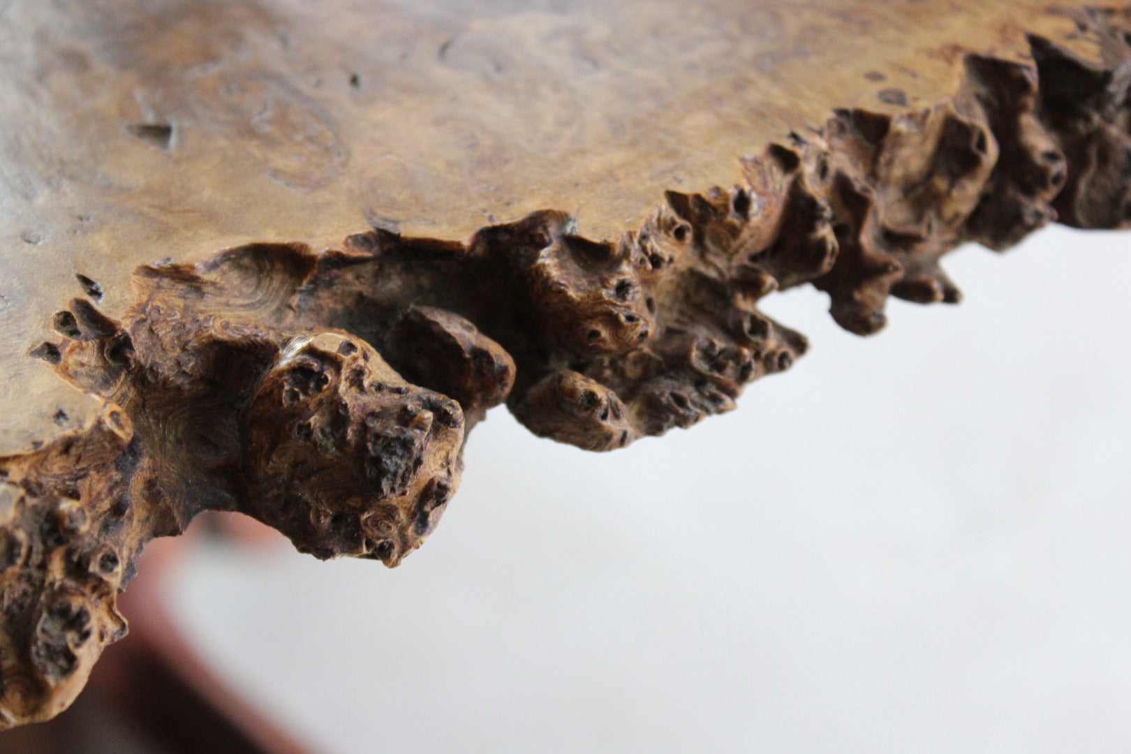 Jarrah Burr Slice Coffee Table - Kernow Furniture