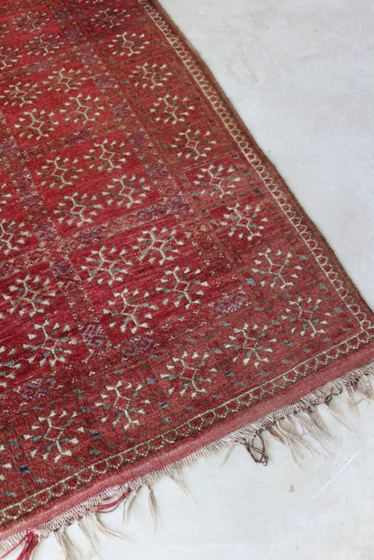 Dowlatabad Red Afghan Rug - Kernow Furniture