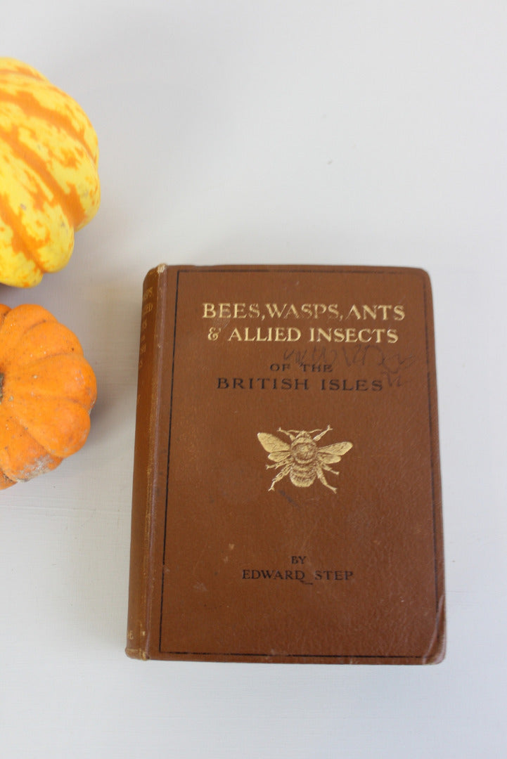 Bees Wasps Ants & Allied Insects Edward Step 1932 - Kernow Furniture