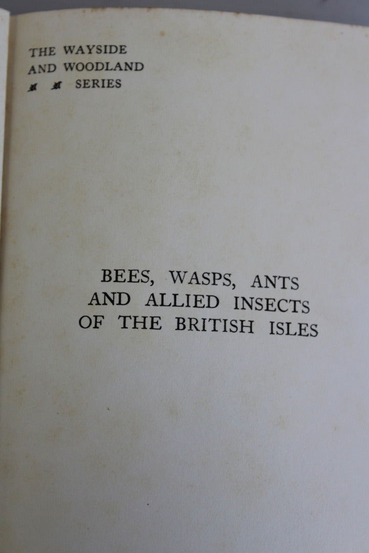 Bees Wasps Ants & Allied Insects Edward Step 1932 - Kernow Furniture