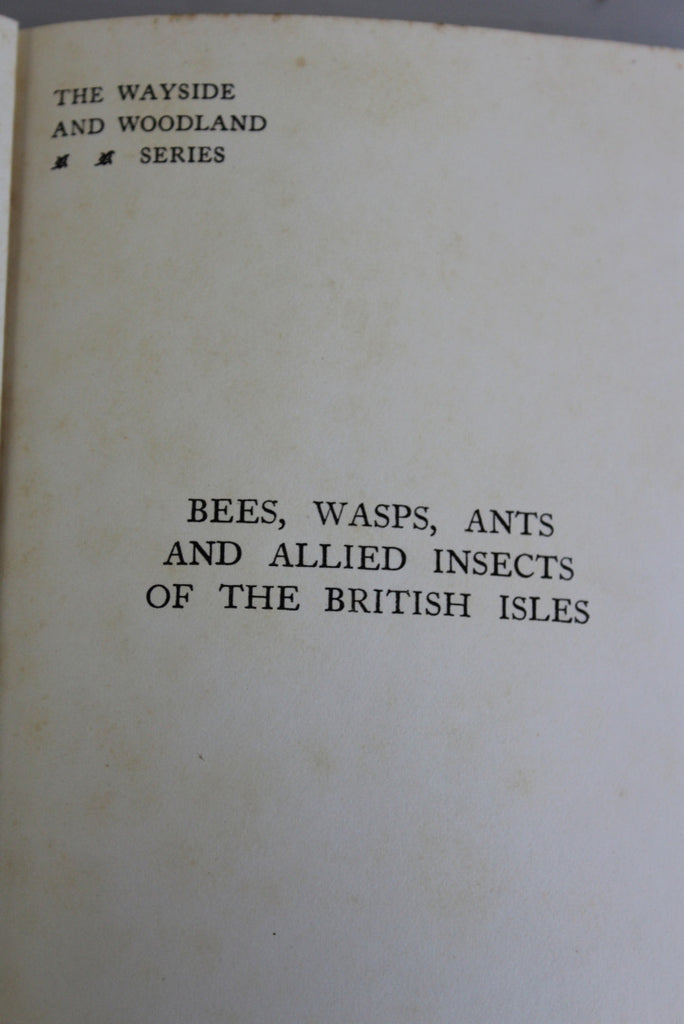 Bees Wasps Ants & Allied Insects Edward Step 1932 - Kernow Furniture