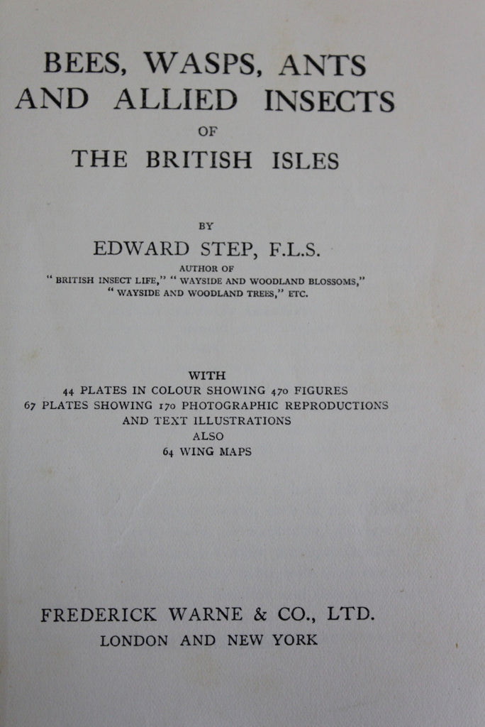 Bees Wasps Ants & Allied Insects Edward Step 1932 - Kernow Furniture