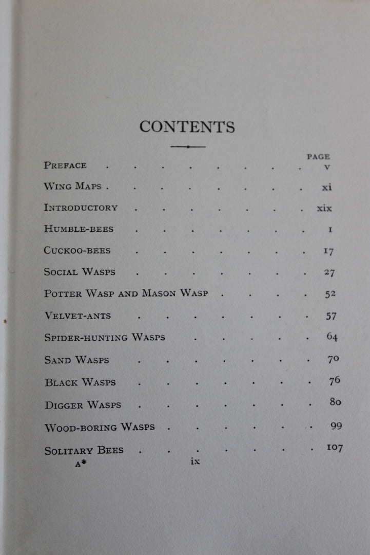 Bees Wasps Ants & Allied Insects Edward Step 1932 - Kernow Furniture