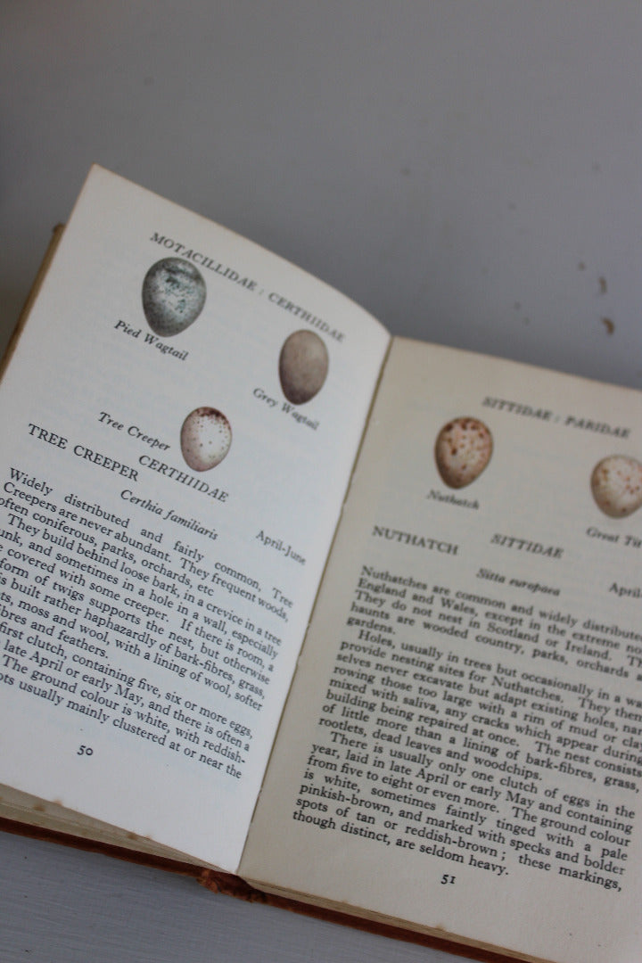 Vintage Observer Bird Eggs Book - Kernow Furniture