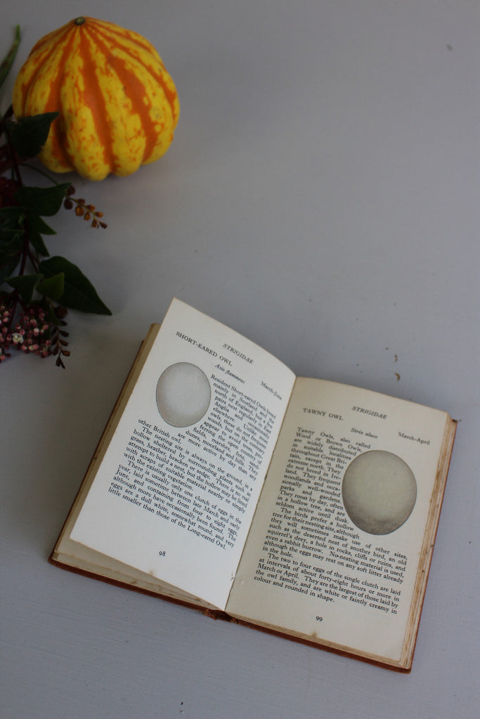 Vintage Observer Bird Eggs Book - Kernow Furniture