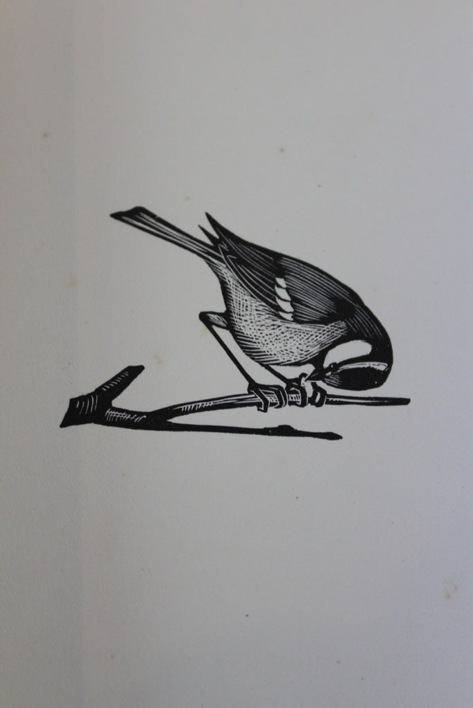 My Birds W H Davies - Kernow Furniture