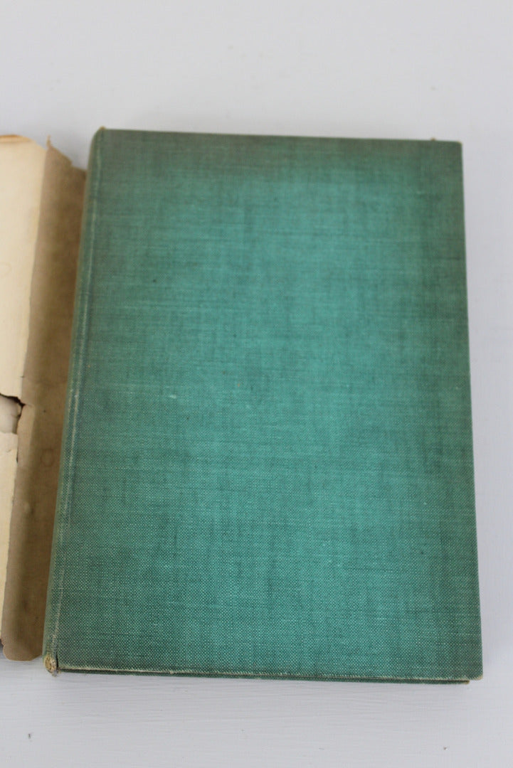 My Birds W H Davies - Kernow Furniture