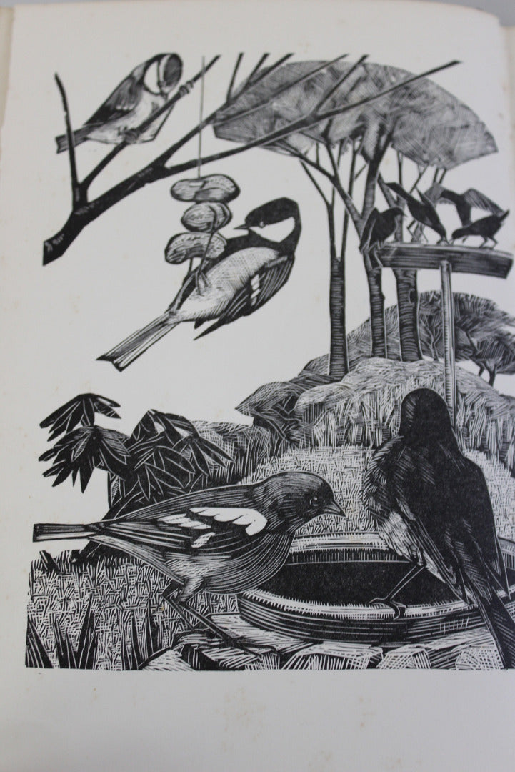 My Birds W H Davies - Kernow Furniture