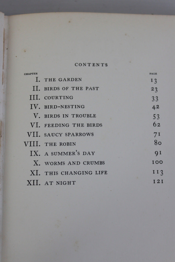 My Birds W H Davies - Kernow Furniture