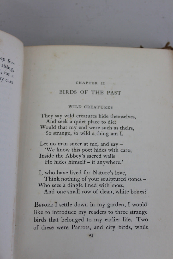 My Birds W H Davies - Kernow Furniture