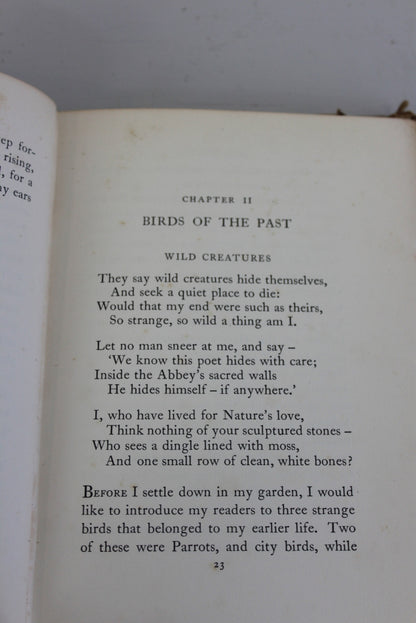 My Birds W H Davies - Kernow Furniture