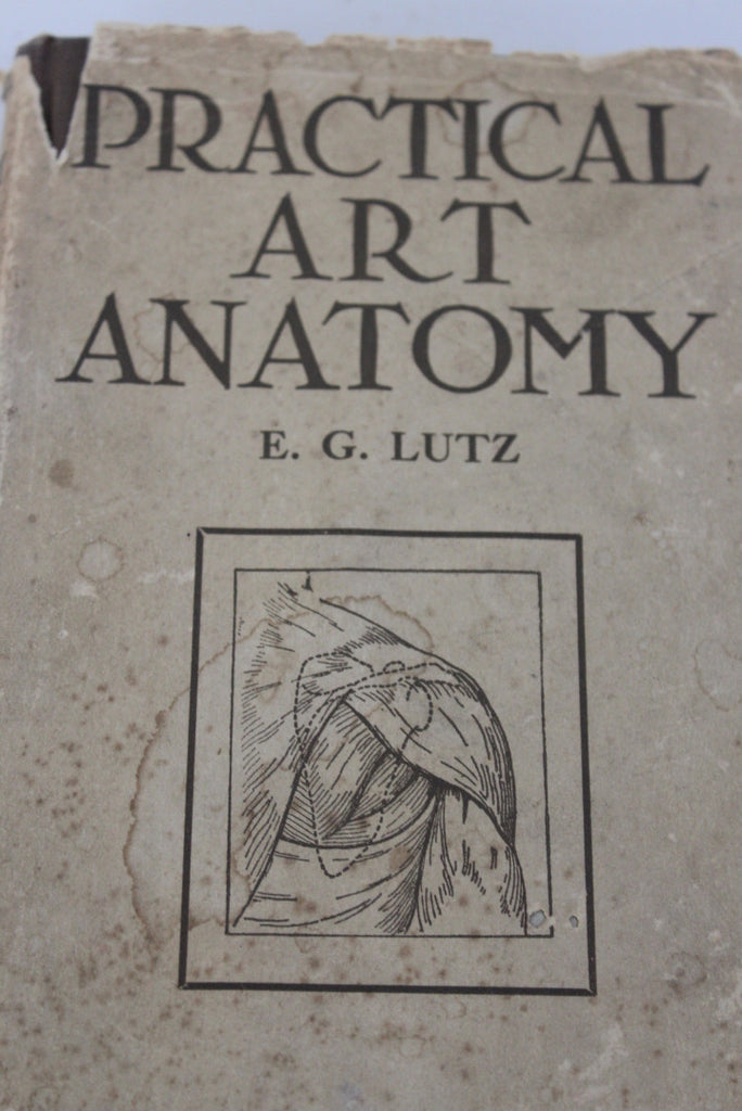 Practical Art Anatomy E G Lutz - Kernow Furniture